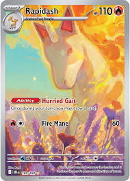 Rapidash DRI 189/182 T