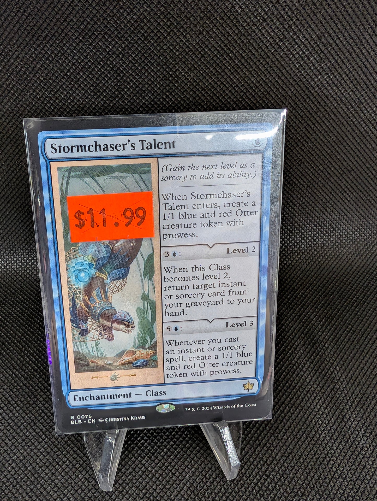 Stormchaser's Talent R0075 (T)