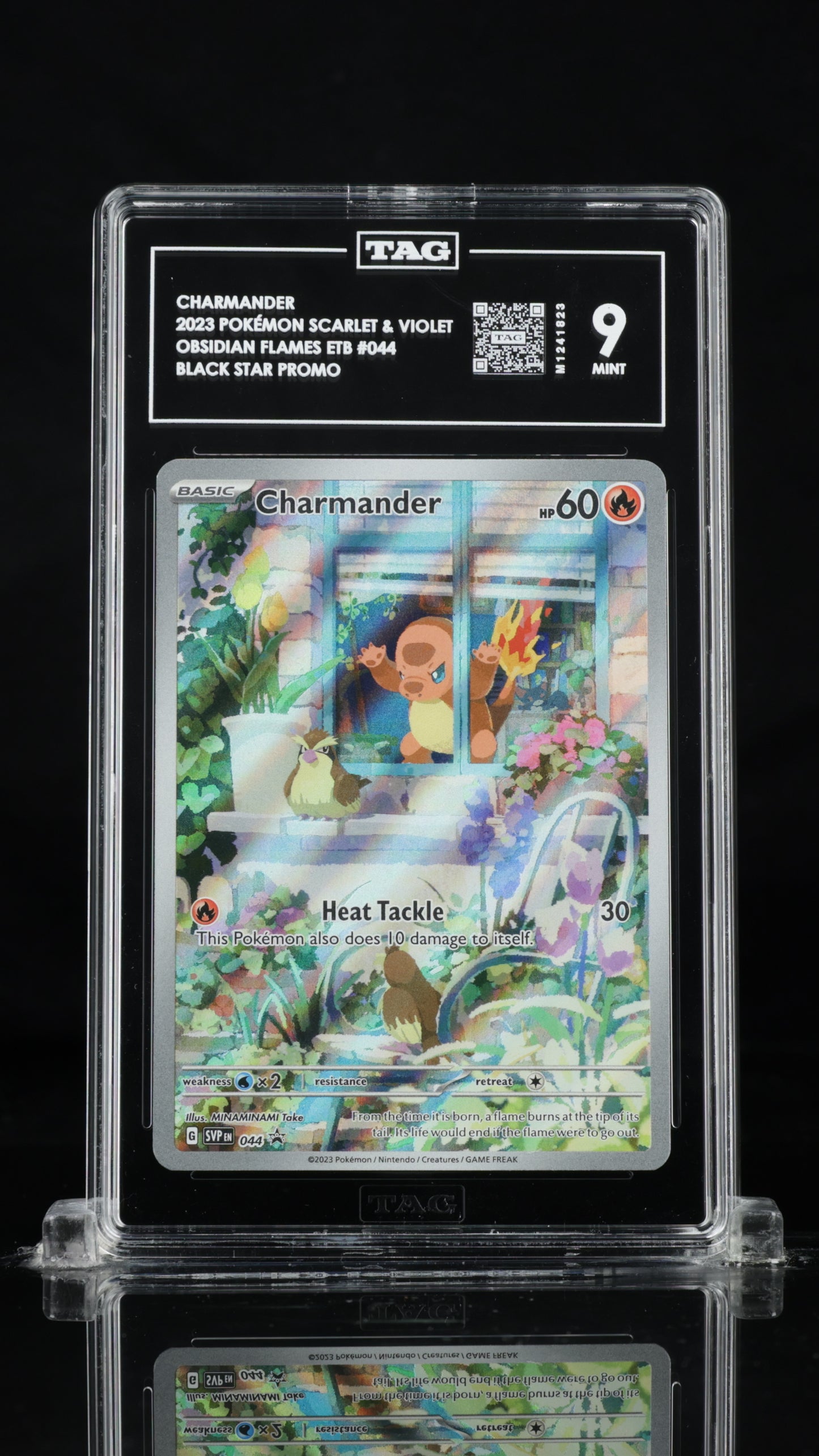 Charmander Promo 044 2023 Tag 9