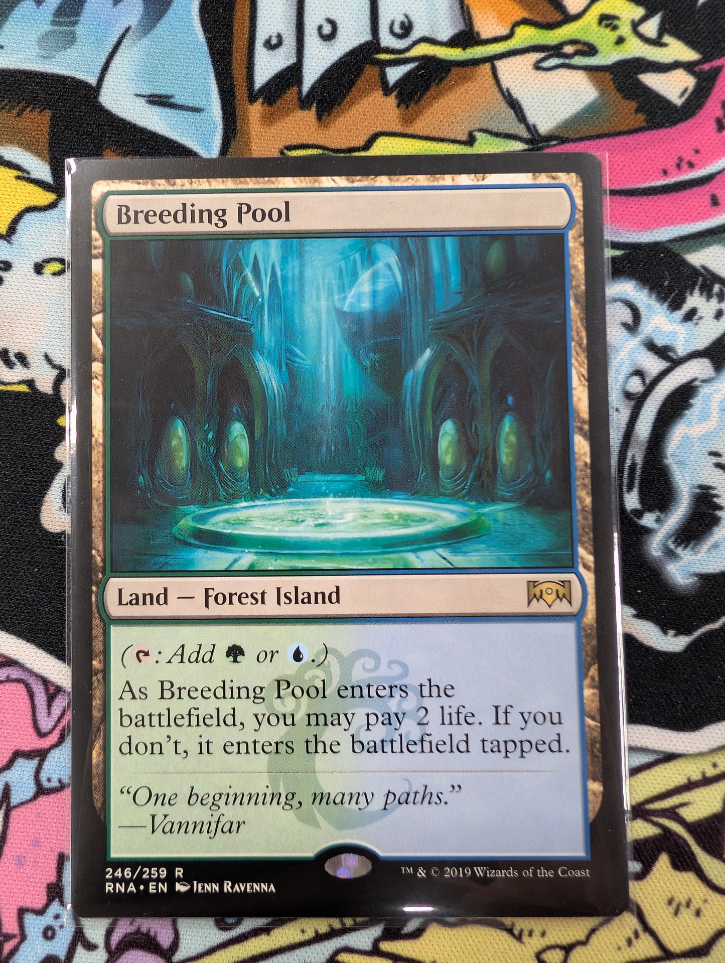 Breeding Pool 246/259