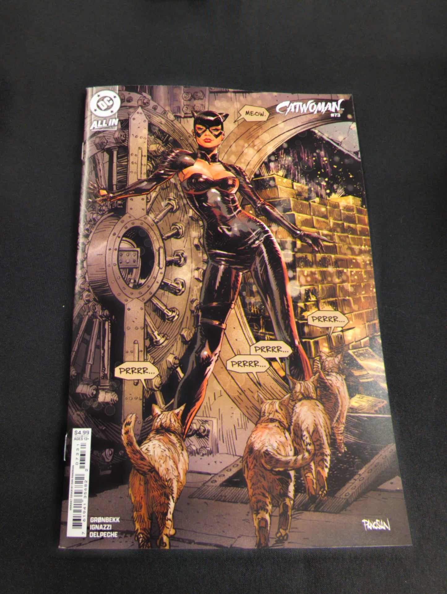 Catwoman #73 Pandsian Variant Cover