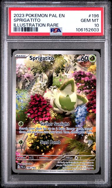 2023 POKEMON PAL EN-PALDEA EVOLVED #196 SPRIGATITO ILLUSTRATION RARE